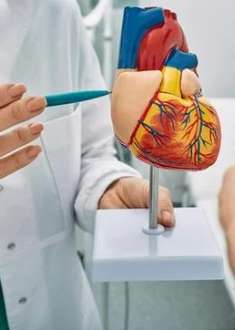 Fellowship in General Practice (Internal Medicine)